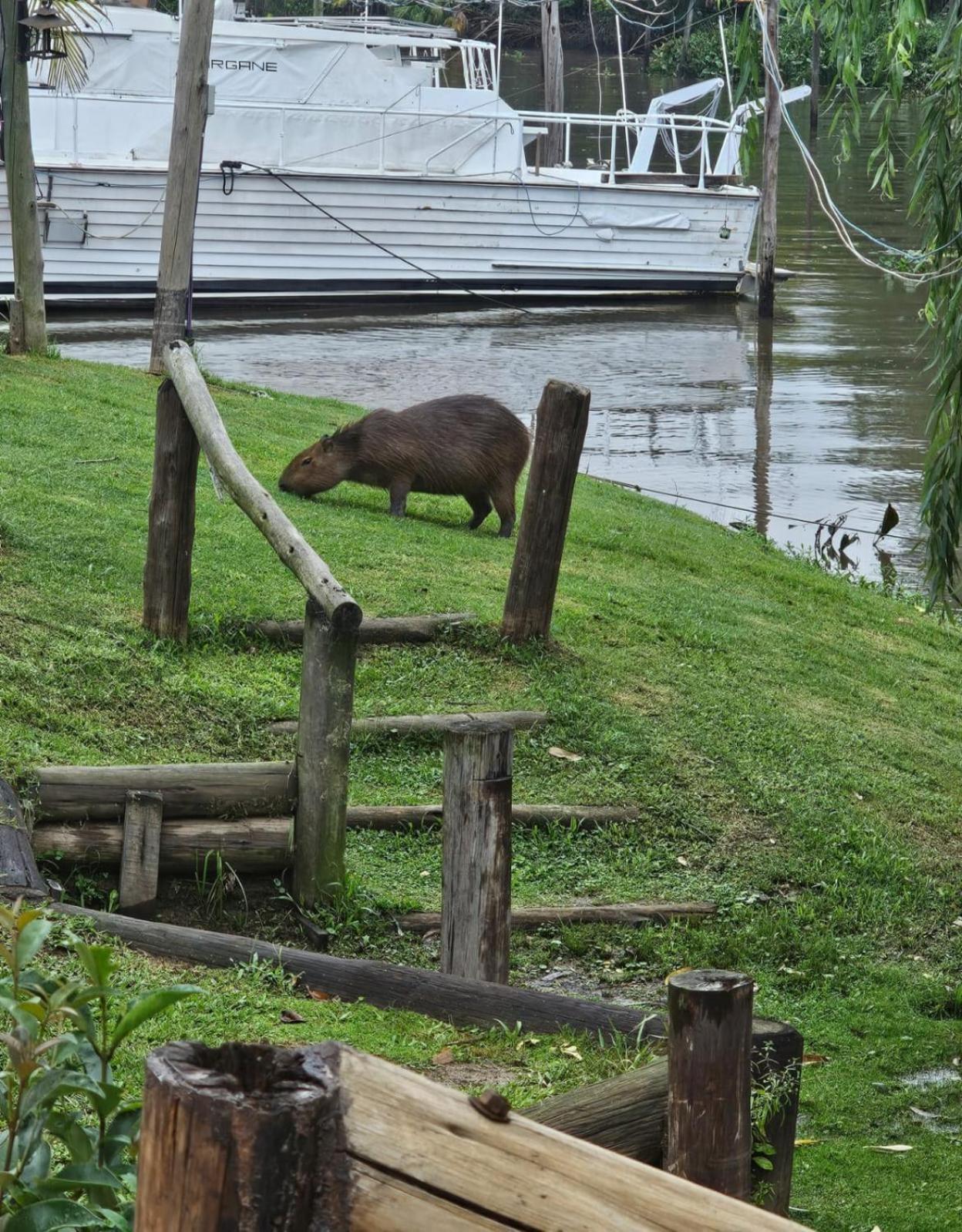 Cabanas Faro Delta Tigre Esterno foto